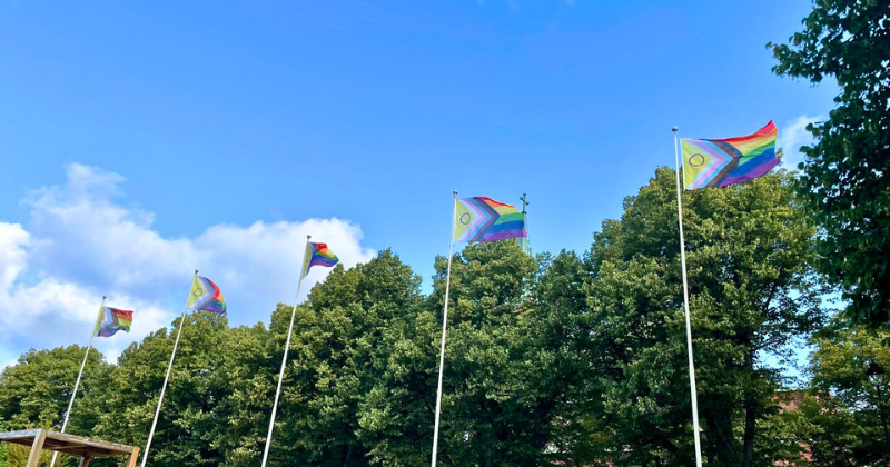 pride-liput liehuvat kesäisessä säässä viidessä lipputangossa. Taustalla taivasta ja vihreitä puita.